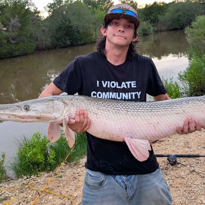 The most recent Alligator gar catches on Fishbrain