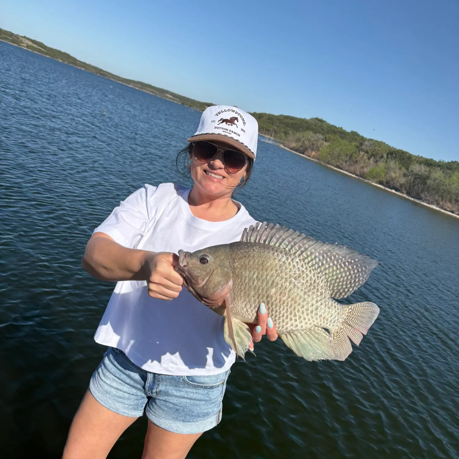 The most recent Nile tilapia catches on Fishbrain
