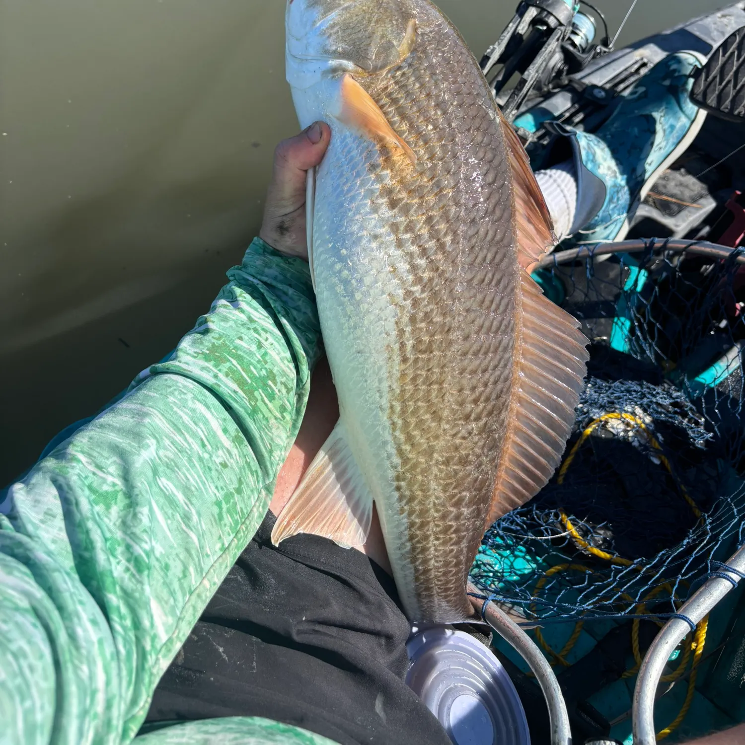 Red drum caught on Fishbrain