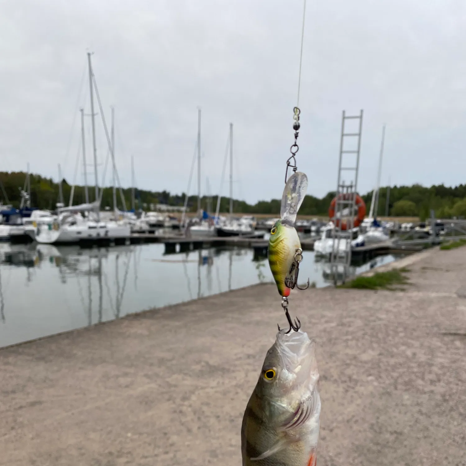 catch