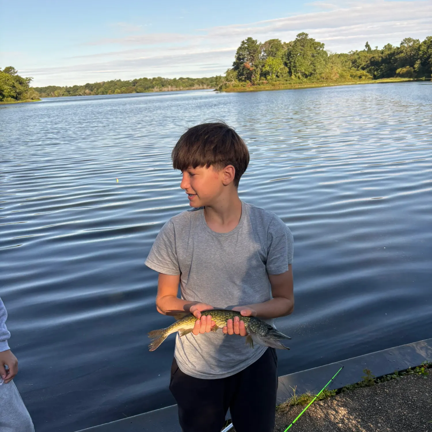 Chain pickerel caught on Fishbrain