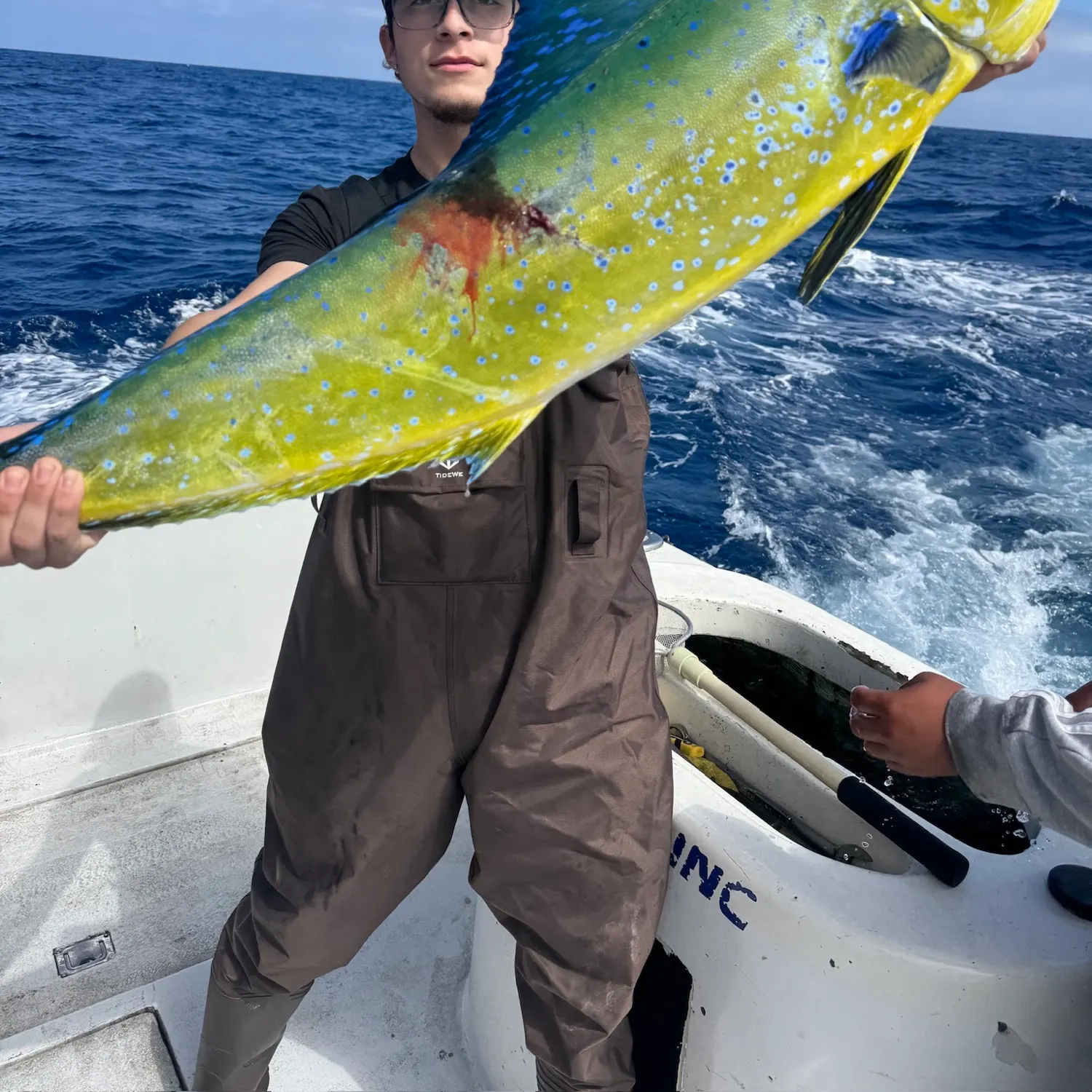 The most recent Common dolphinfish catches on Fishbrain