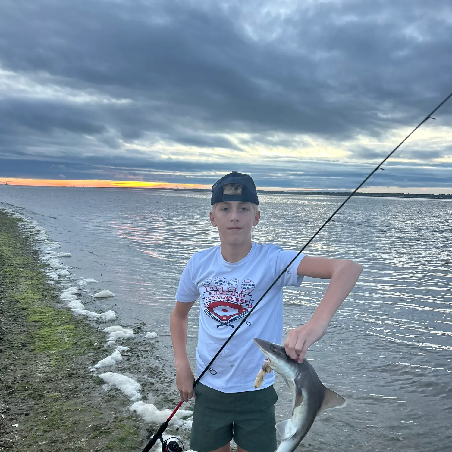 Dusky smooth-hound caught on Fishbrain