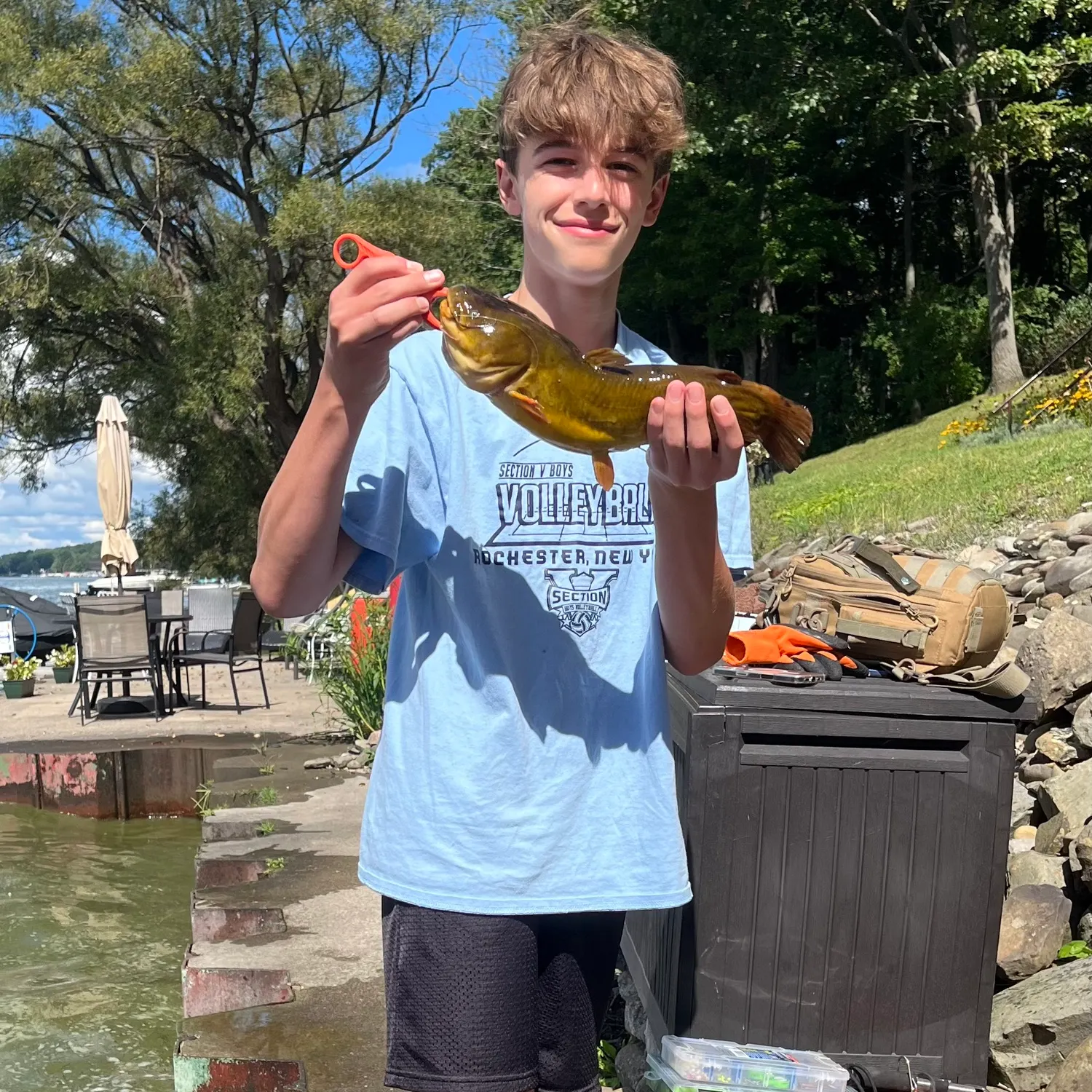 Yellow bullhead caught on Fishbrain