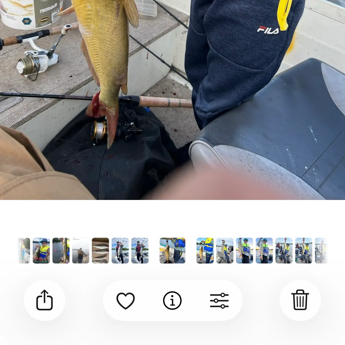Channel catfish caught on Fishbrain