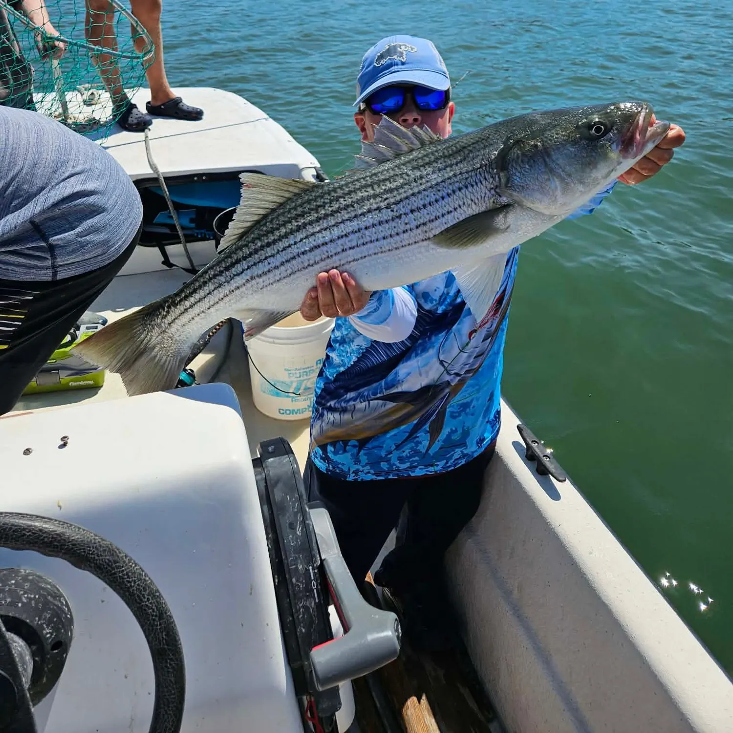 Striped bass caught on Fishbrain