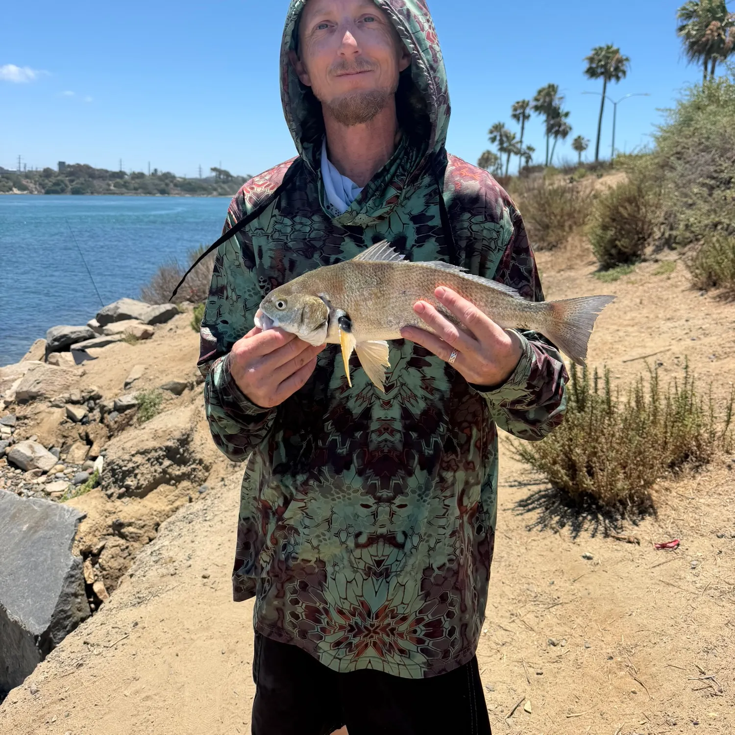 The most recent Spotfin croaker catches on Fishbrain