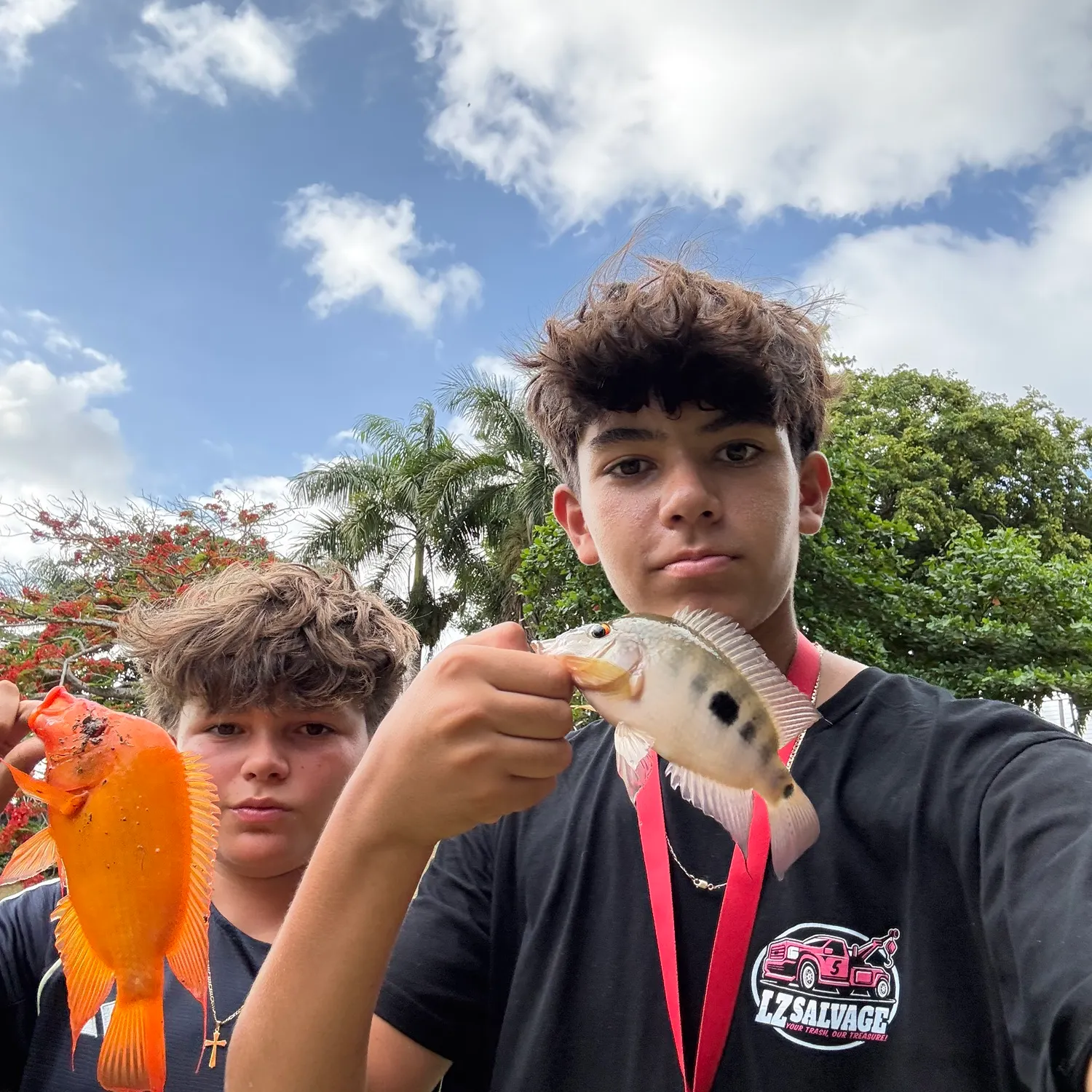 The most recent Red devil cichlid catches on Fishbrain