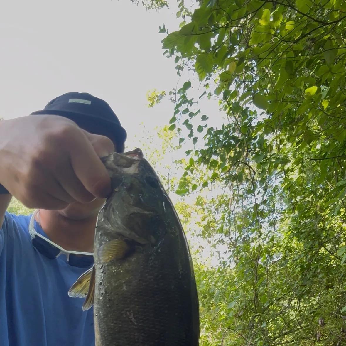 Smallmouth bass caught on Fishbrain
