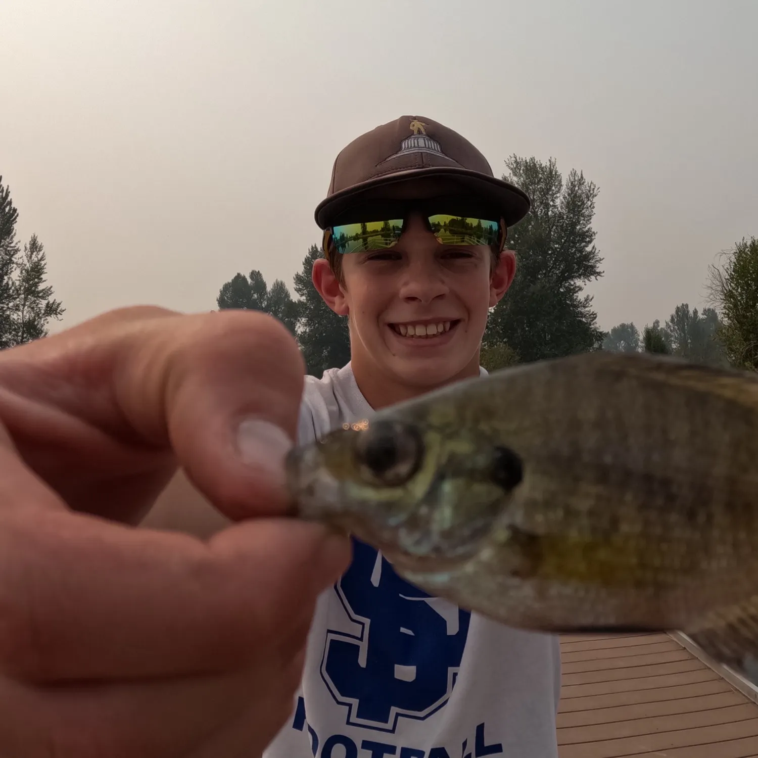 Bluegill caught on Fishbrain
