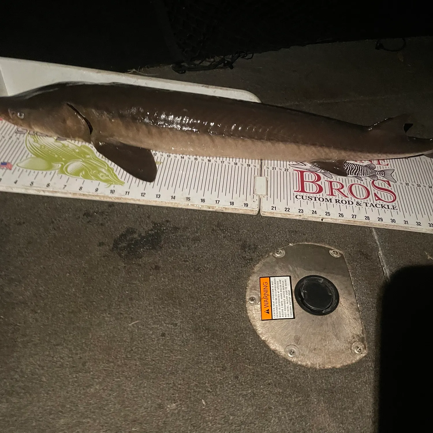 Lake sturgeon caught on Fishbrain