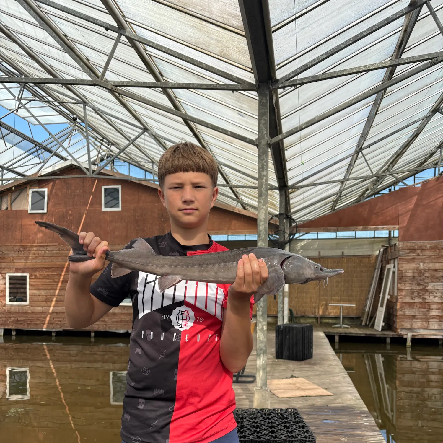 The most recent Siberian sturgeon catches on Fishbrain