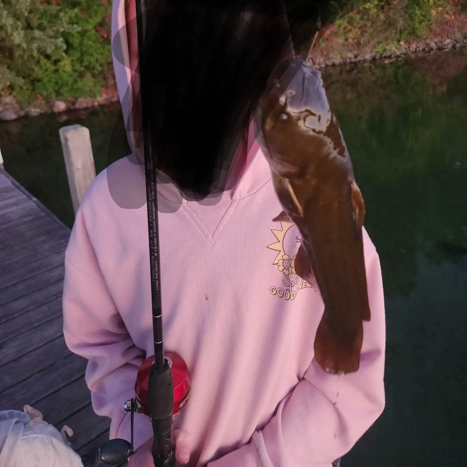 Yellow bullhead caught on Fishbrain