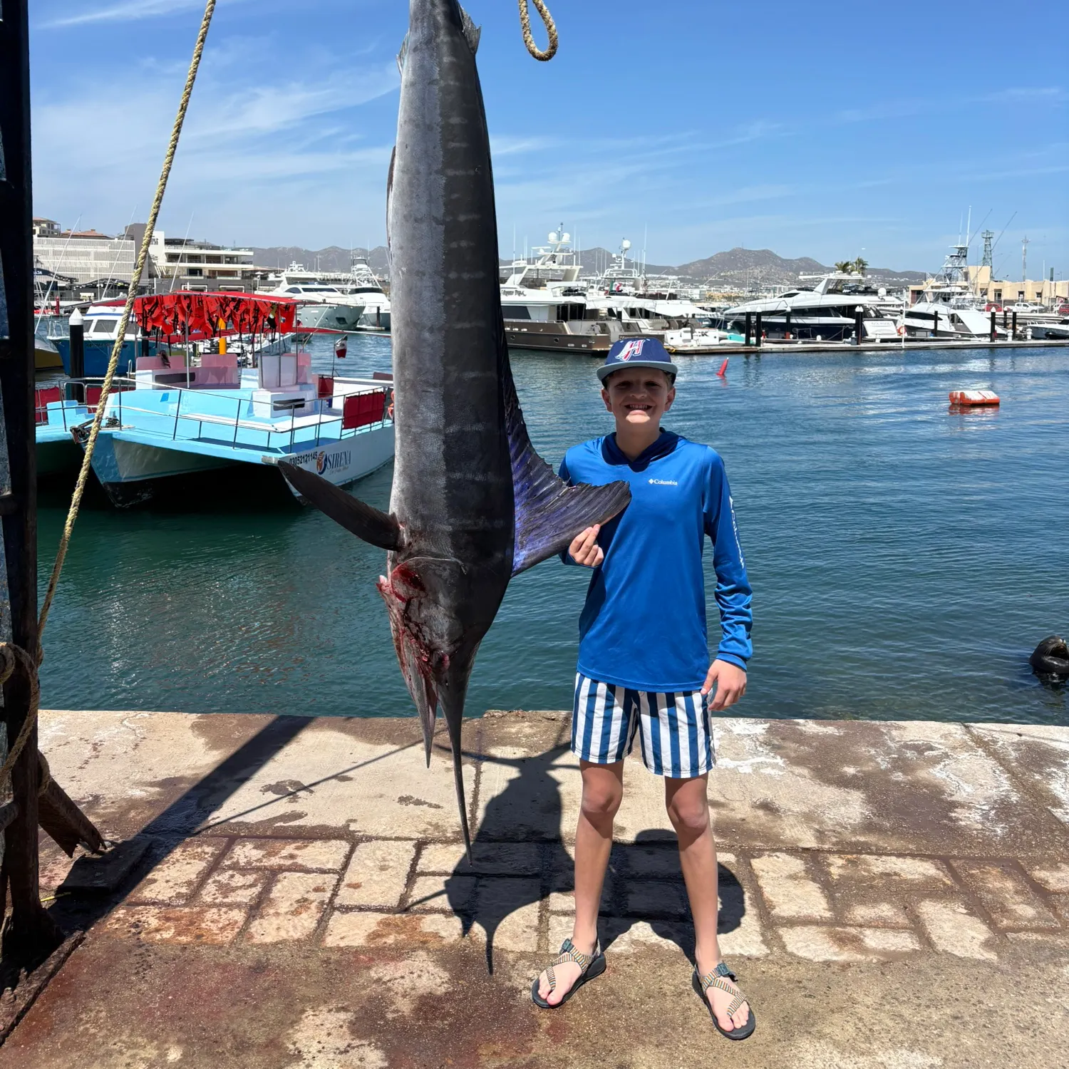 The most recent Black marlin catches on Fishbrain