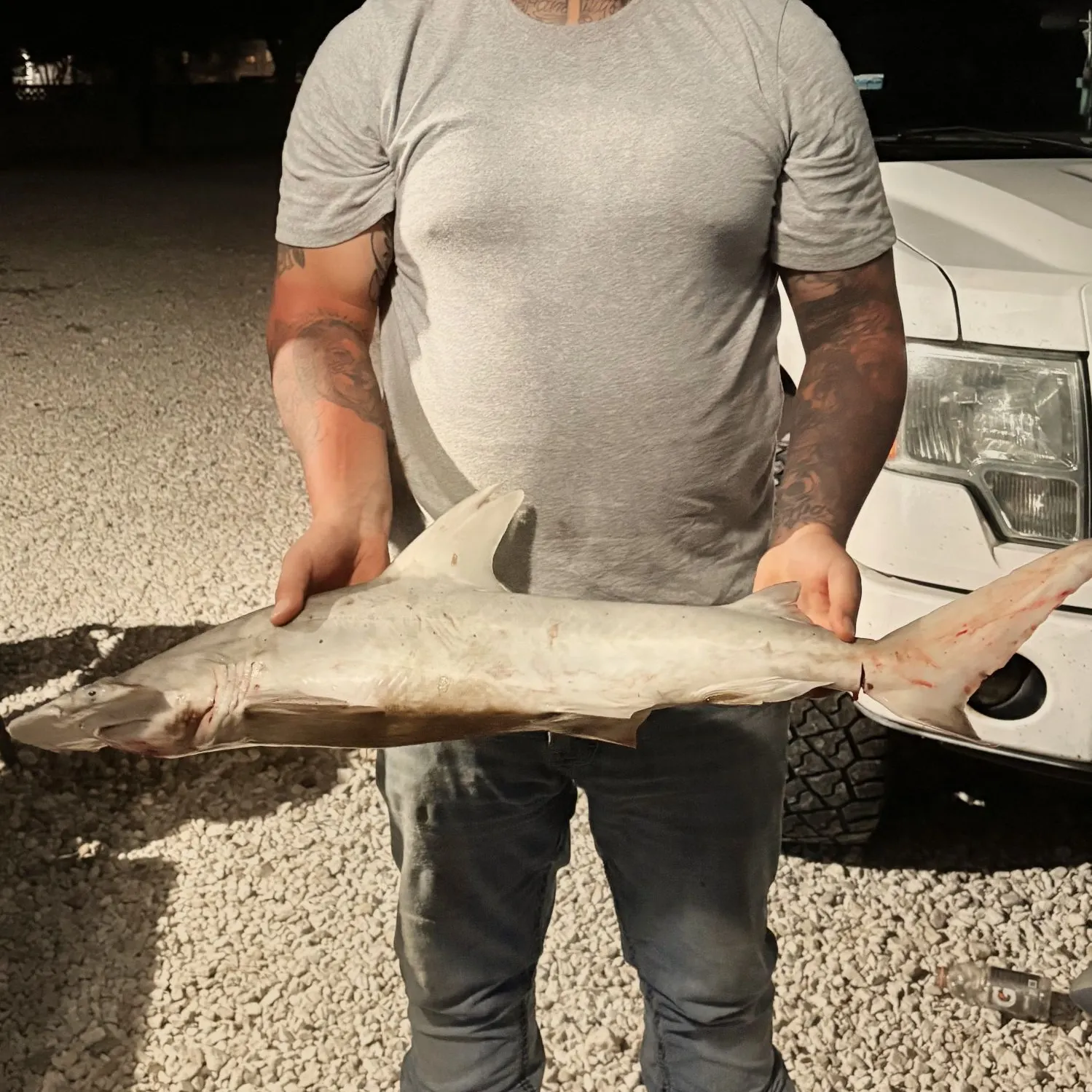 Bonnethead shark caught on Fishbrain