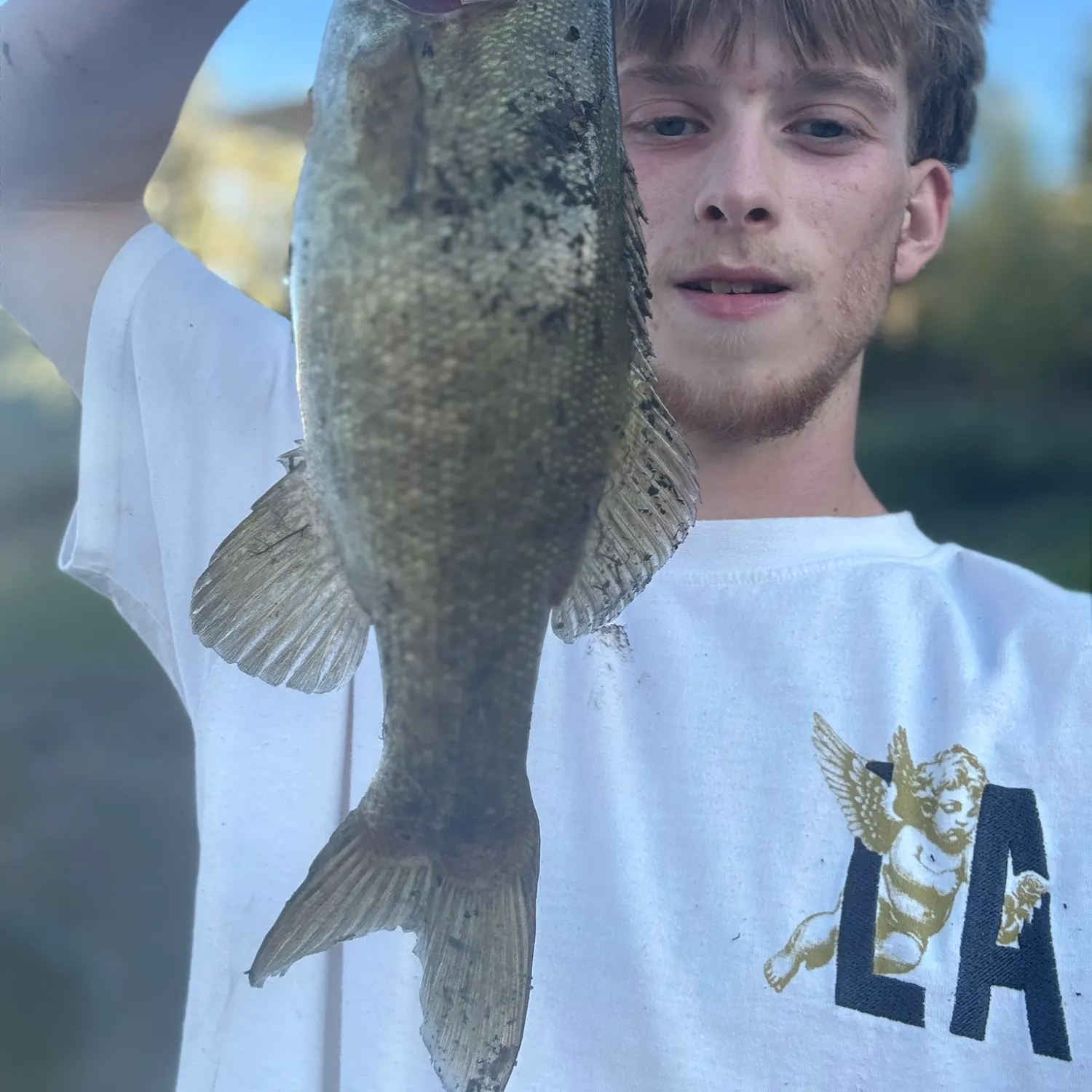 Smallmouth bass caught on Fishbrain