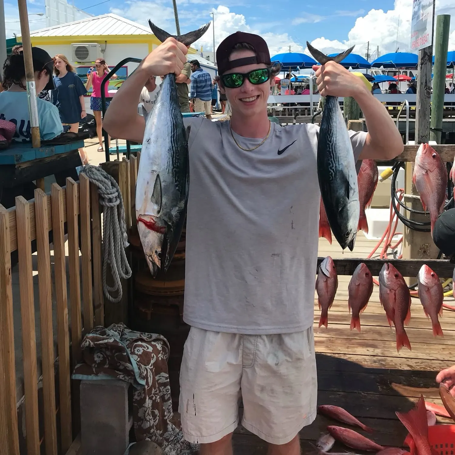 Little tunny caught on Fishbrain