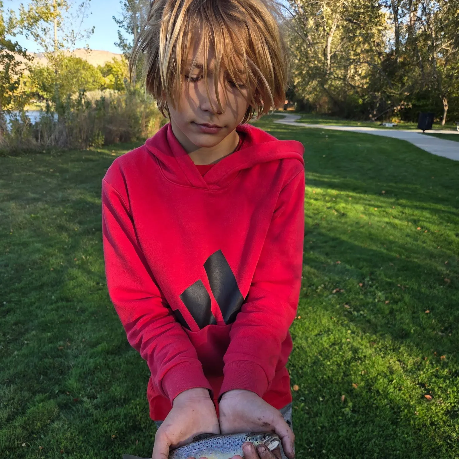 Brown trout caught on Fishbrain