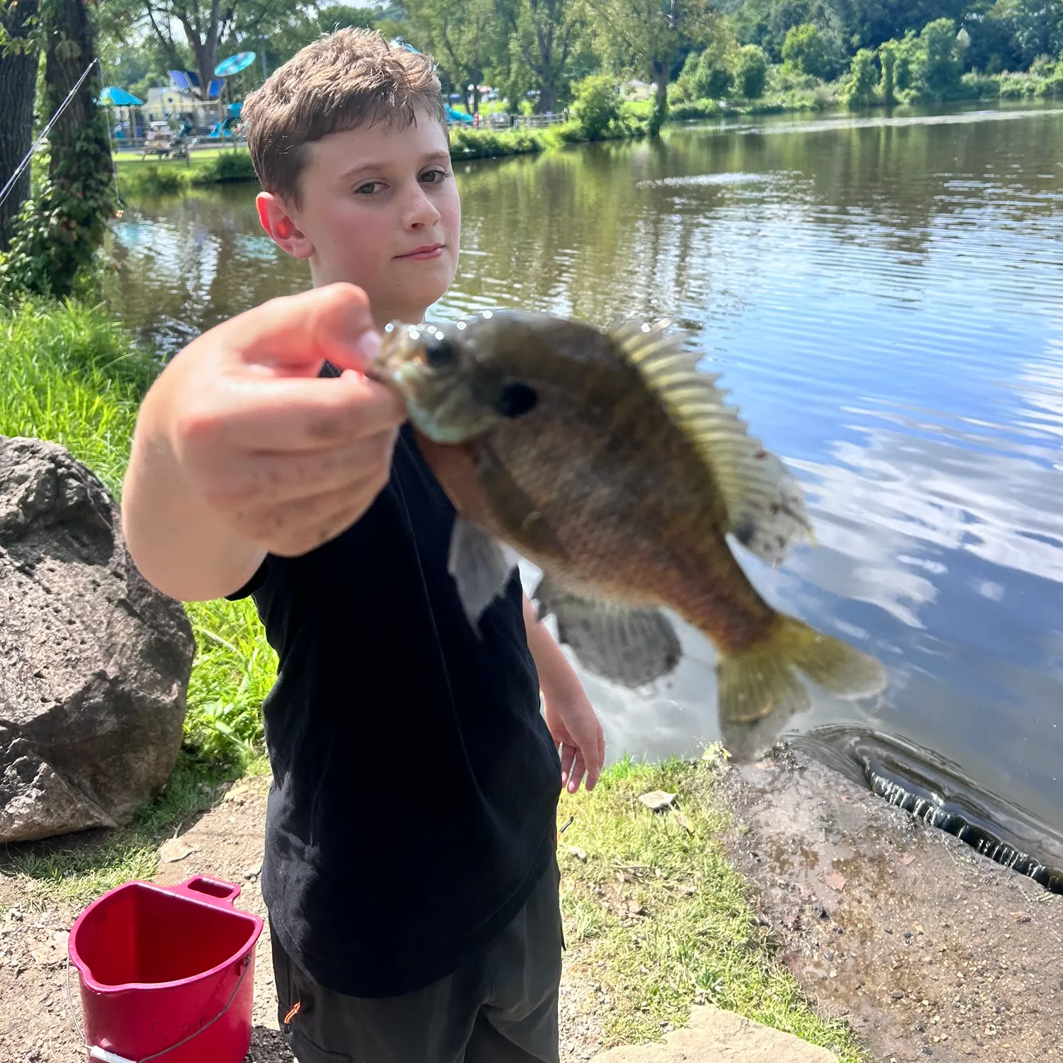 Fish caught on Fishbrain