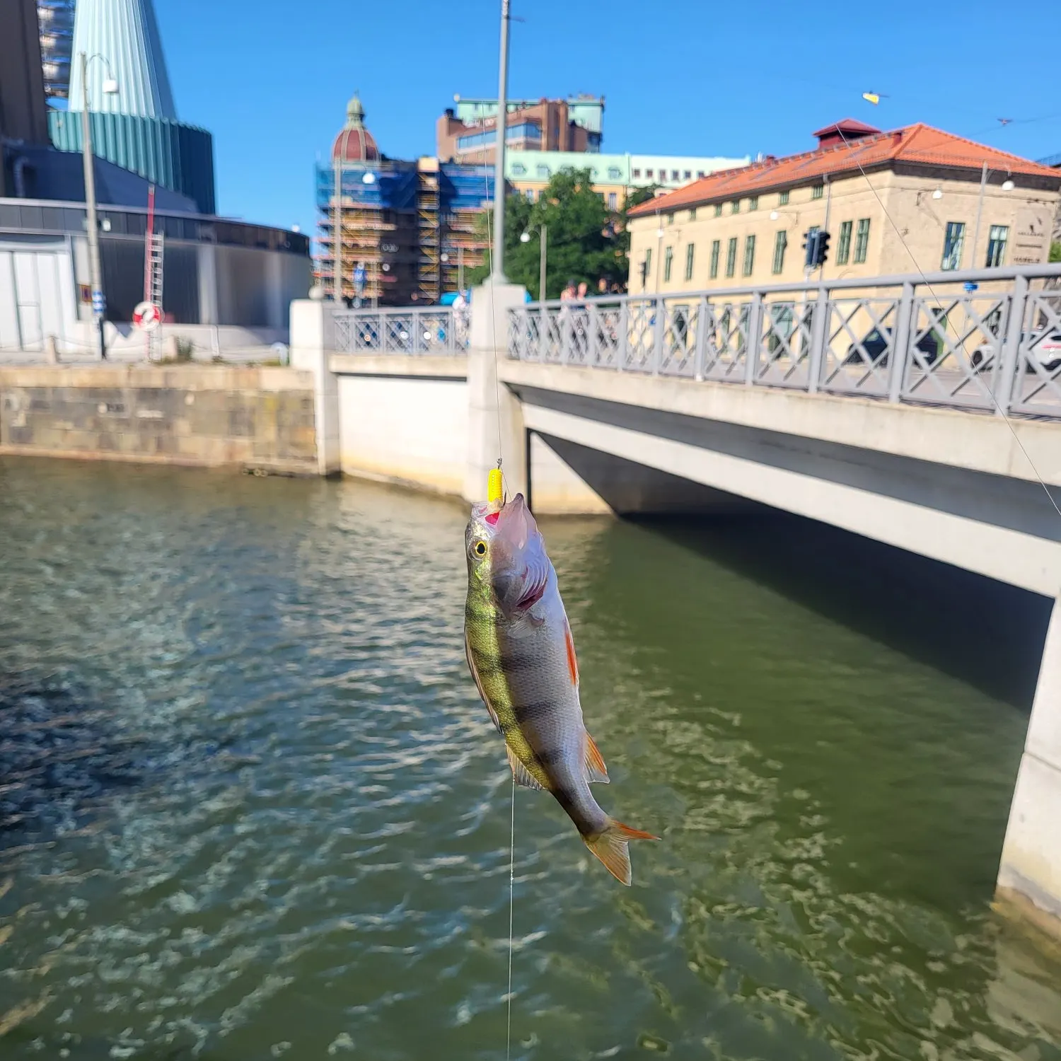 catch