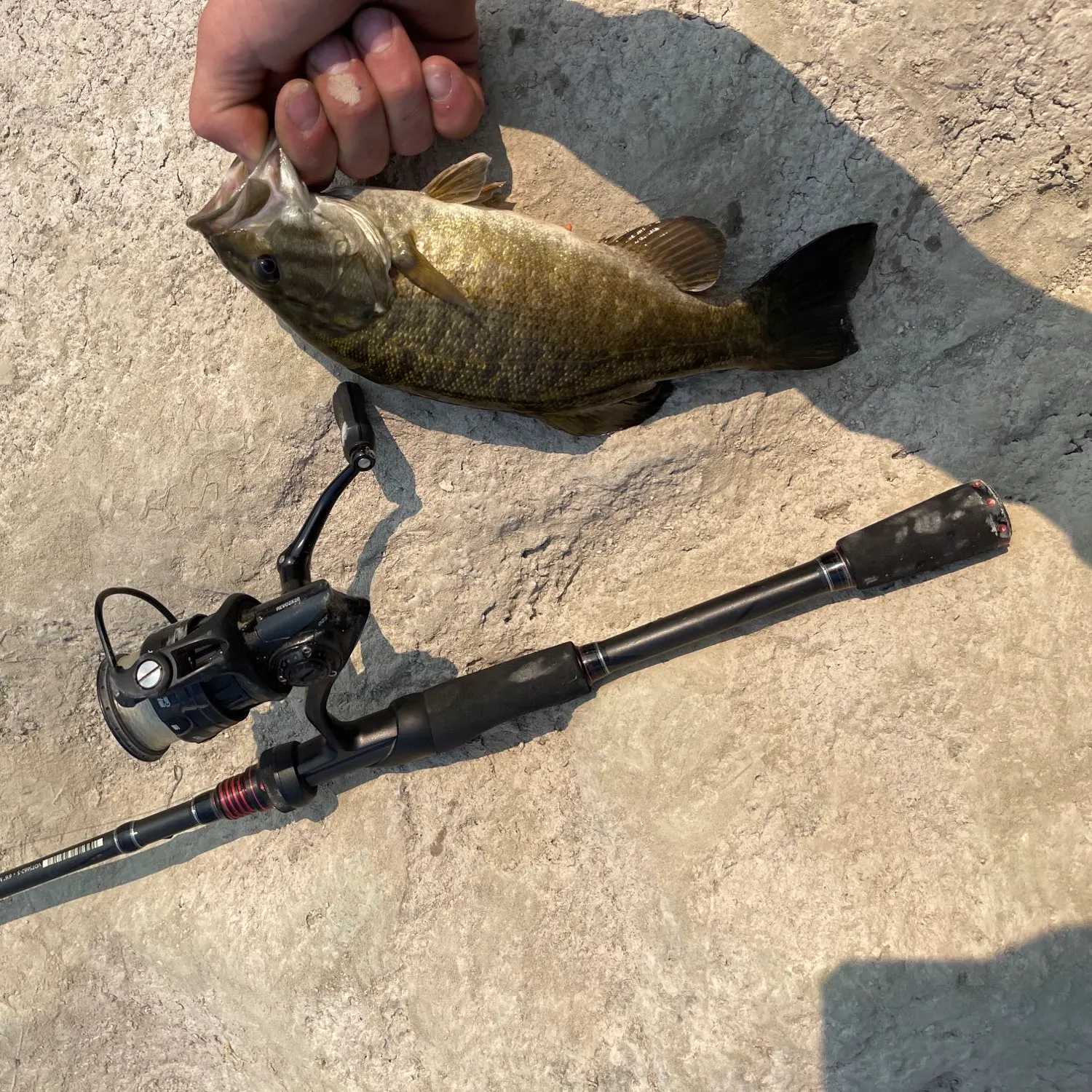 angler catch