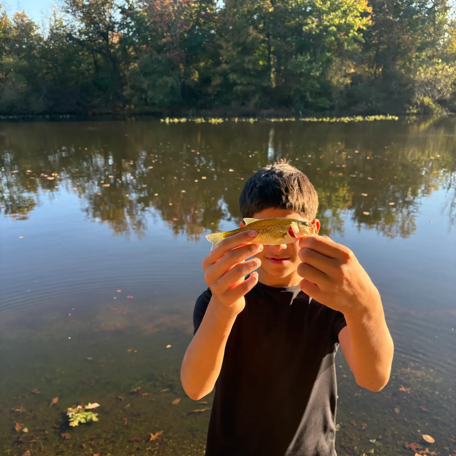 Fish caught on Fishbrain