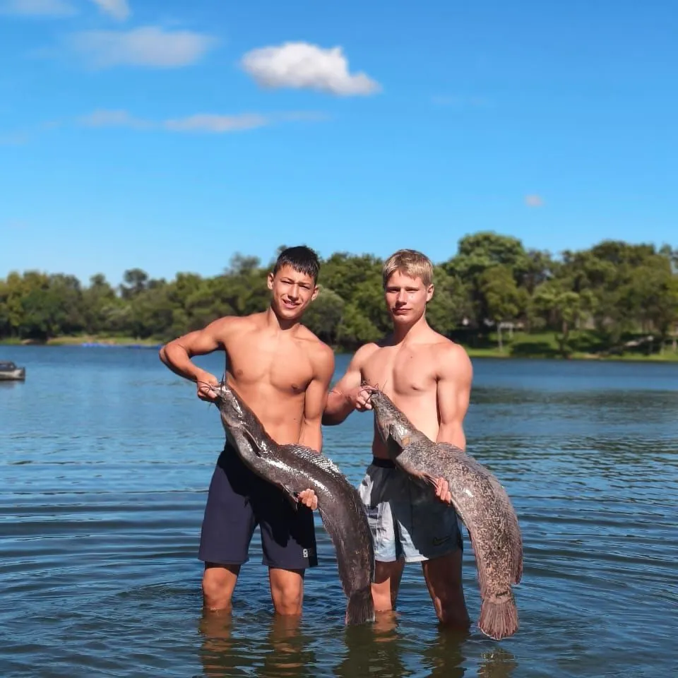 The most recent North African catfish catches on Fishbrain