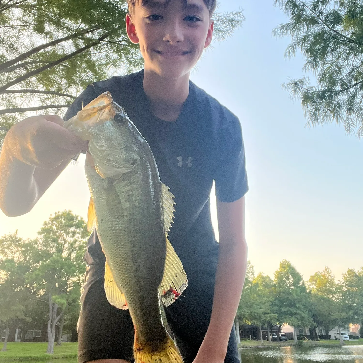 Largemouth bass caught on Fishbrain