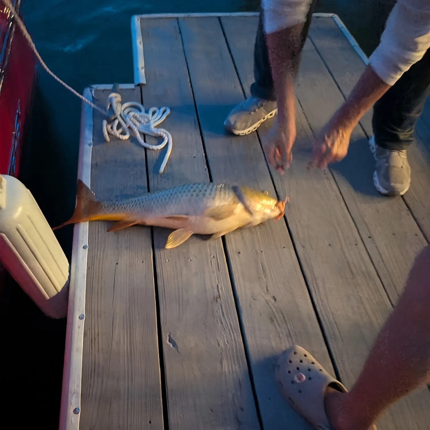 catch