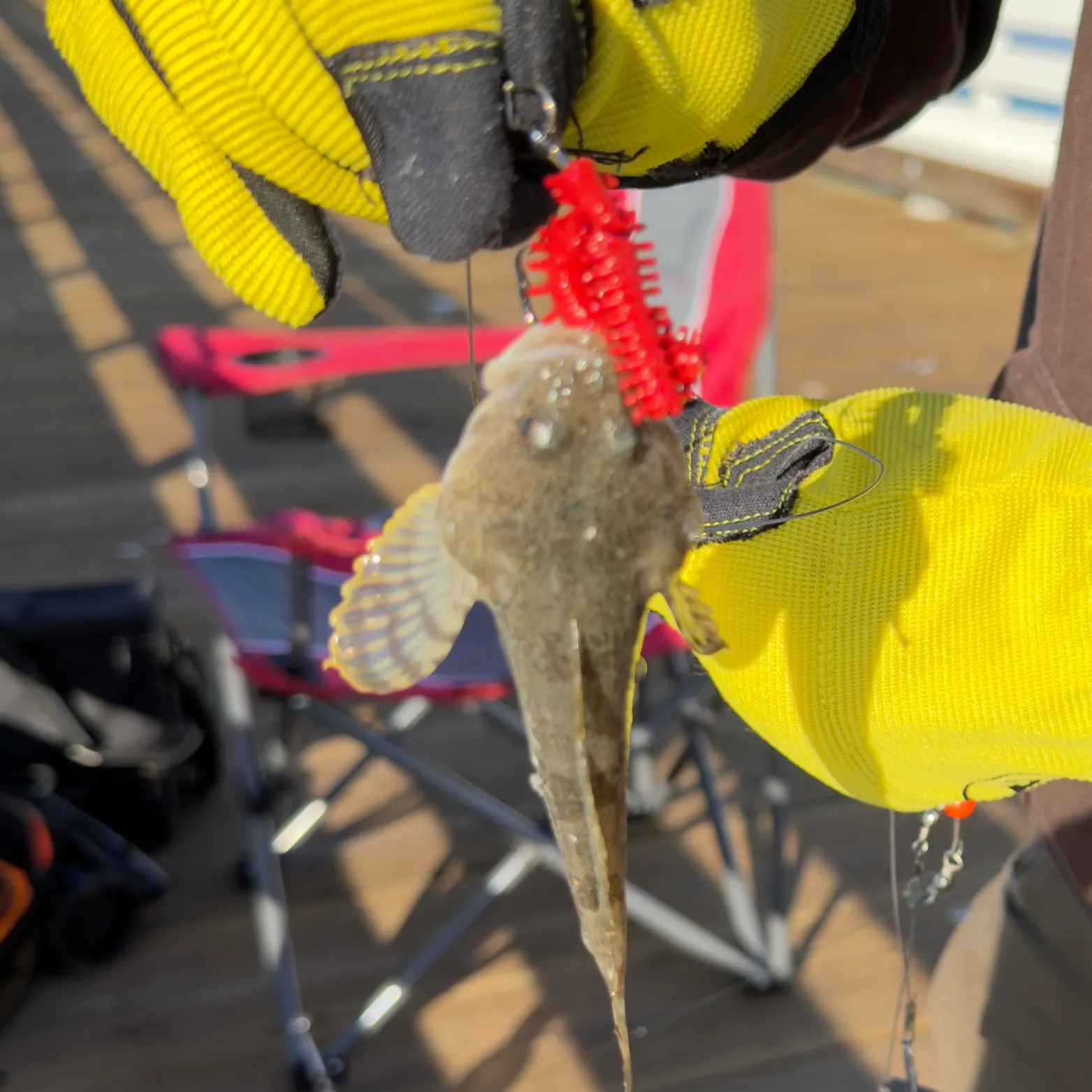 The most recent Pacific staghorn sculpin catches on Fishbrain
