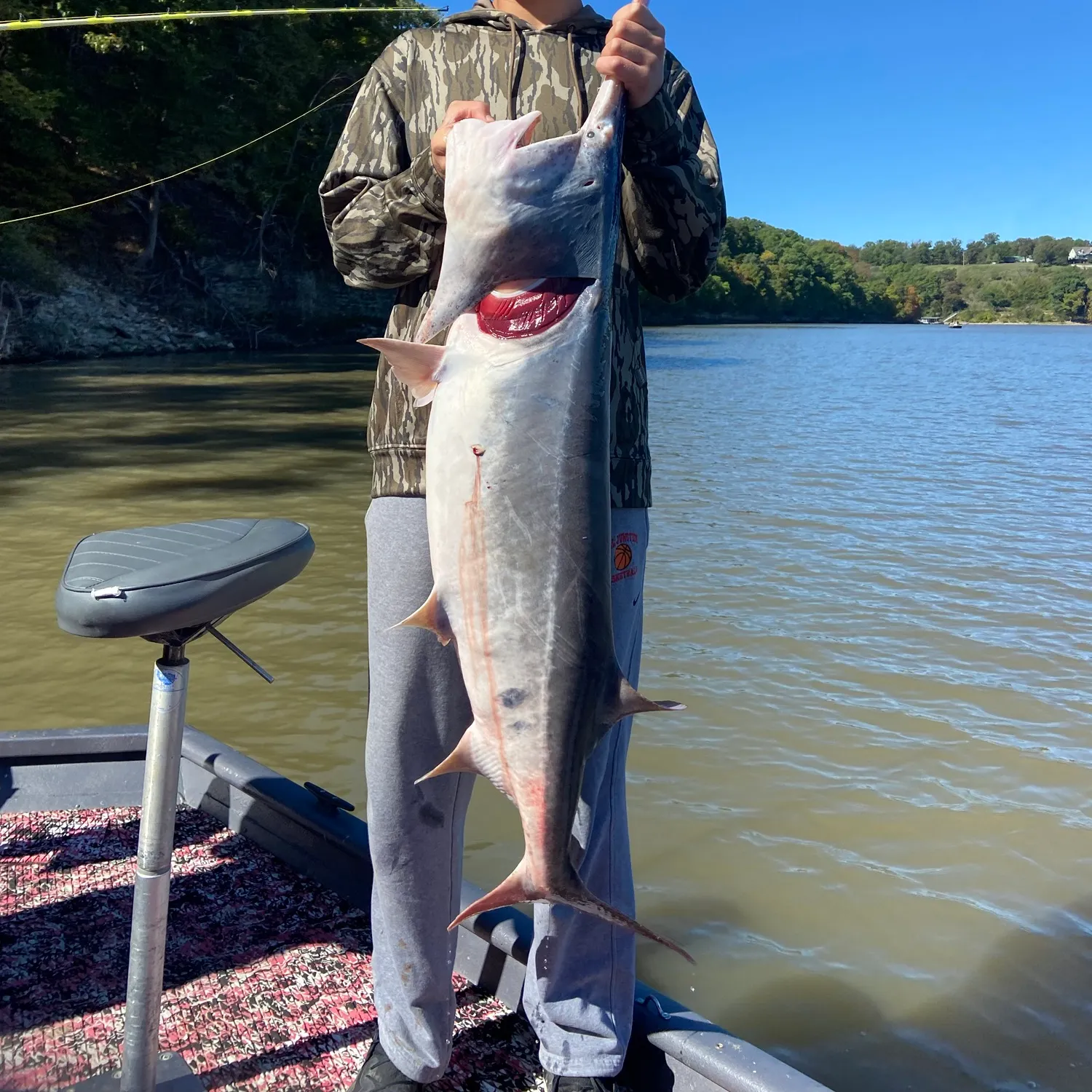 Paddlefish caught on Fishbrain