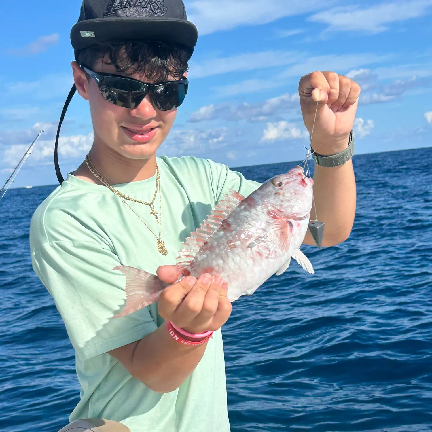 The most recent Redtail parrotfish catches on Fishbrain