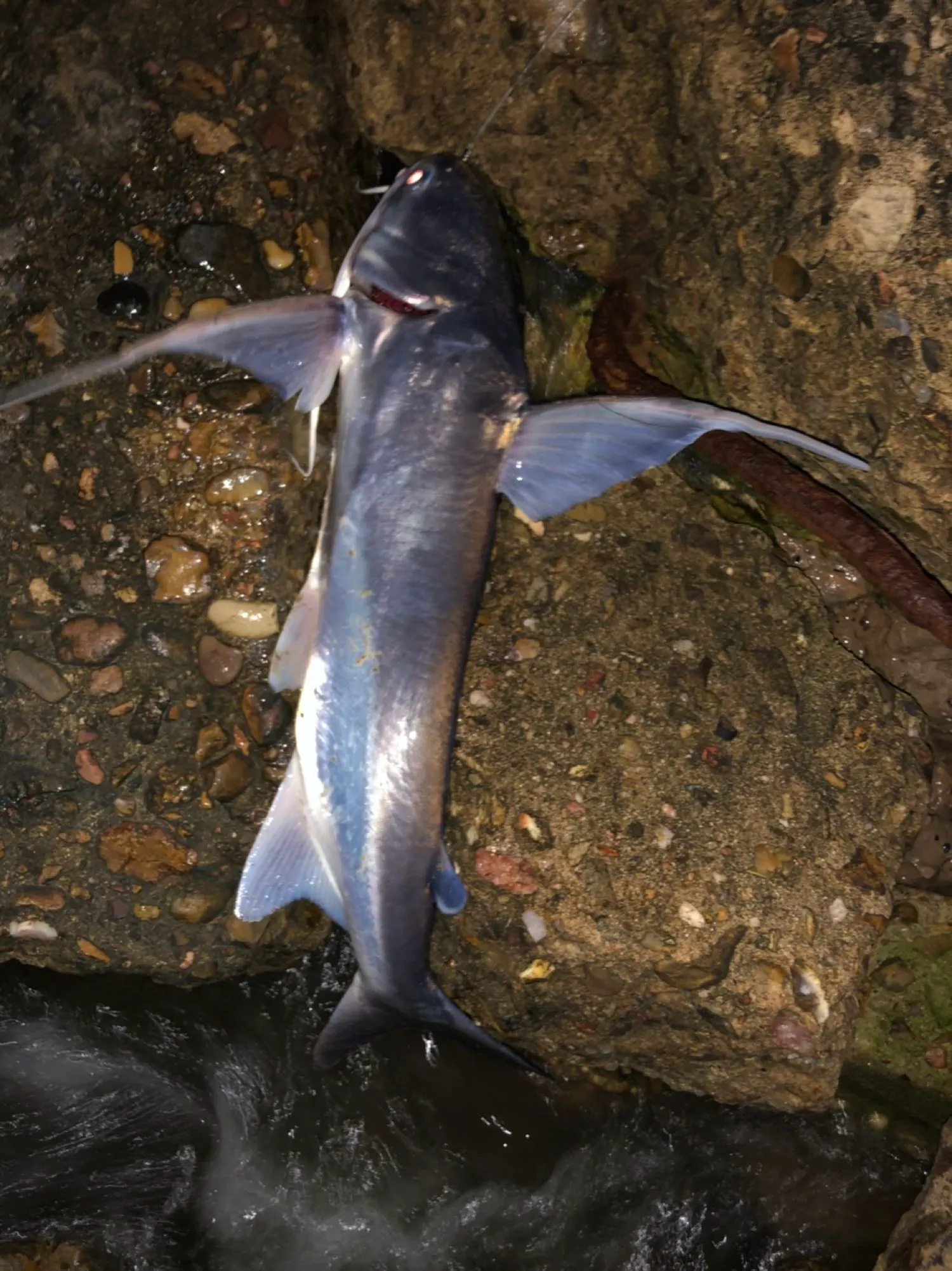 Post image from john.chapa