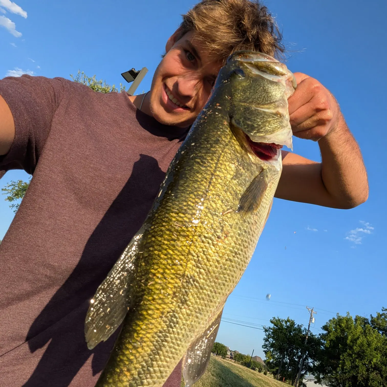 Largemouth bass caught on Fishbrain