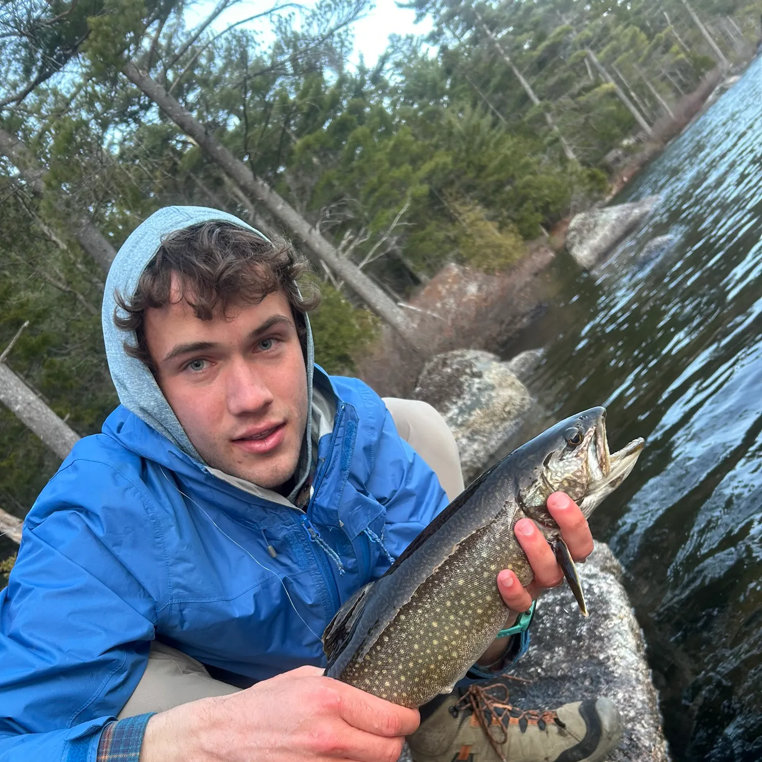 The most recent Splake catches on Fishbrain