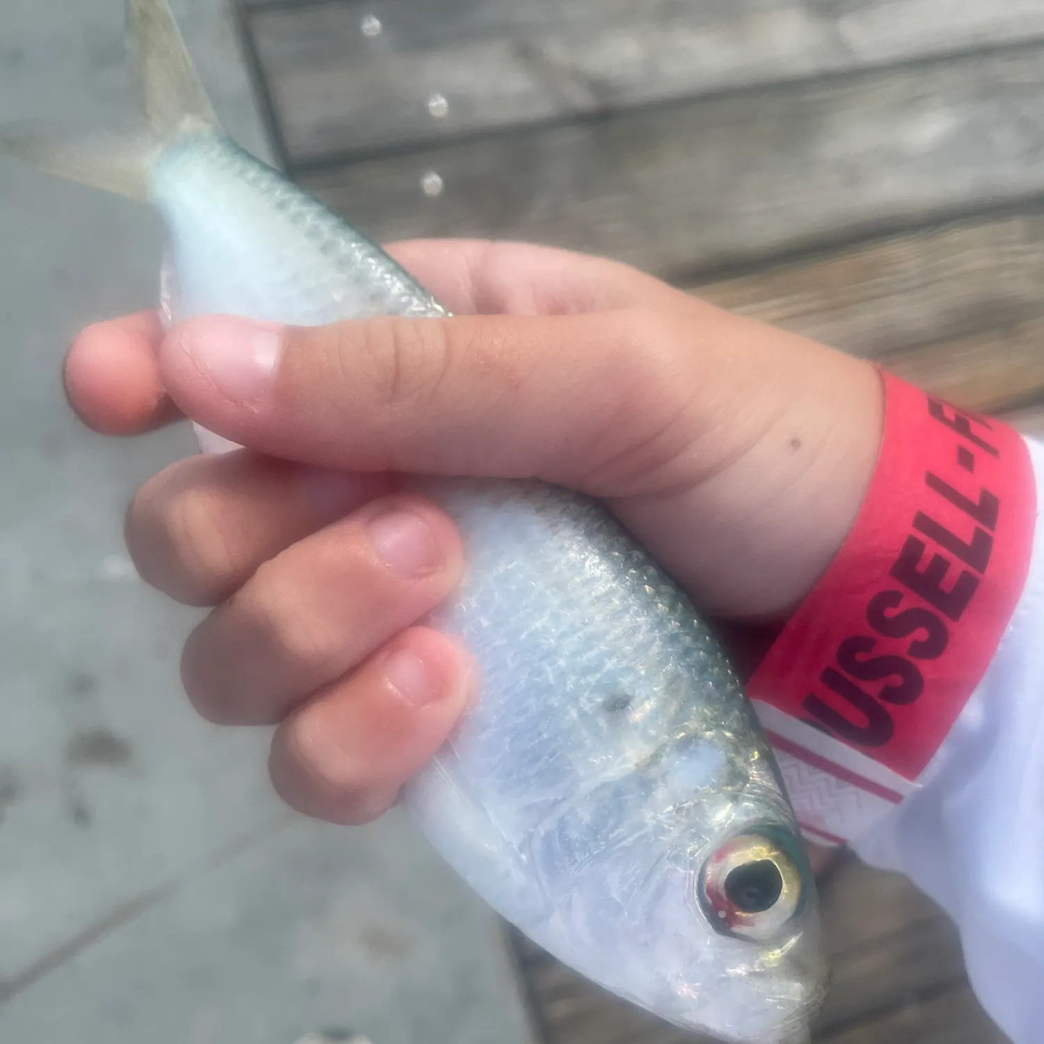 most liked catch image