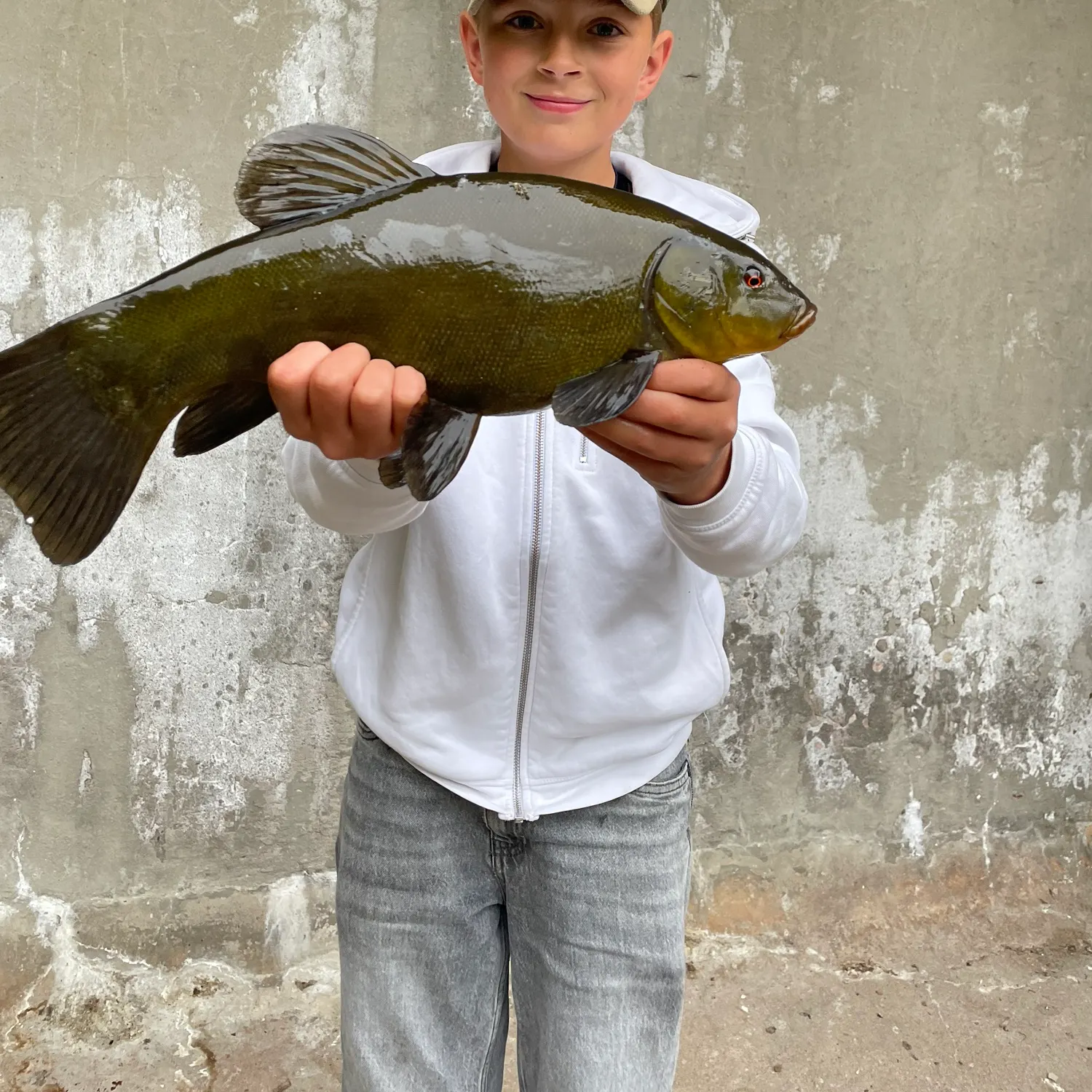 The most recent Tench catches on Fishbrain