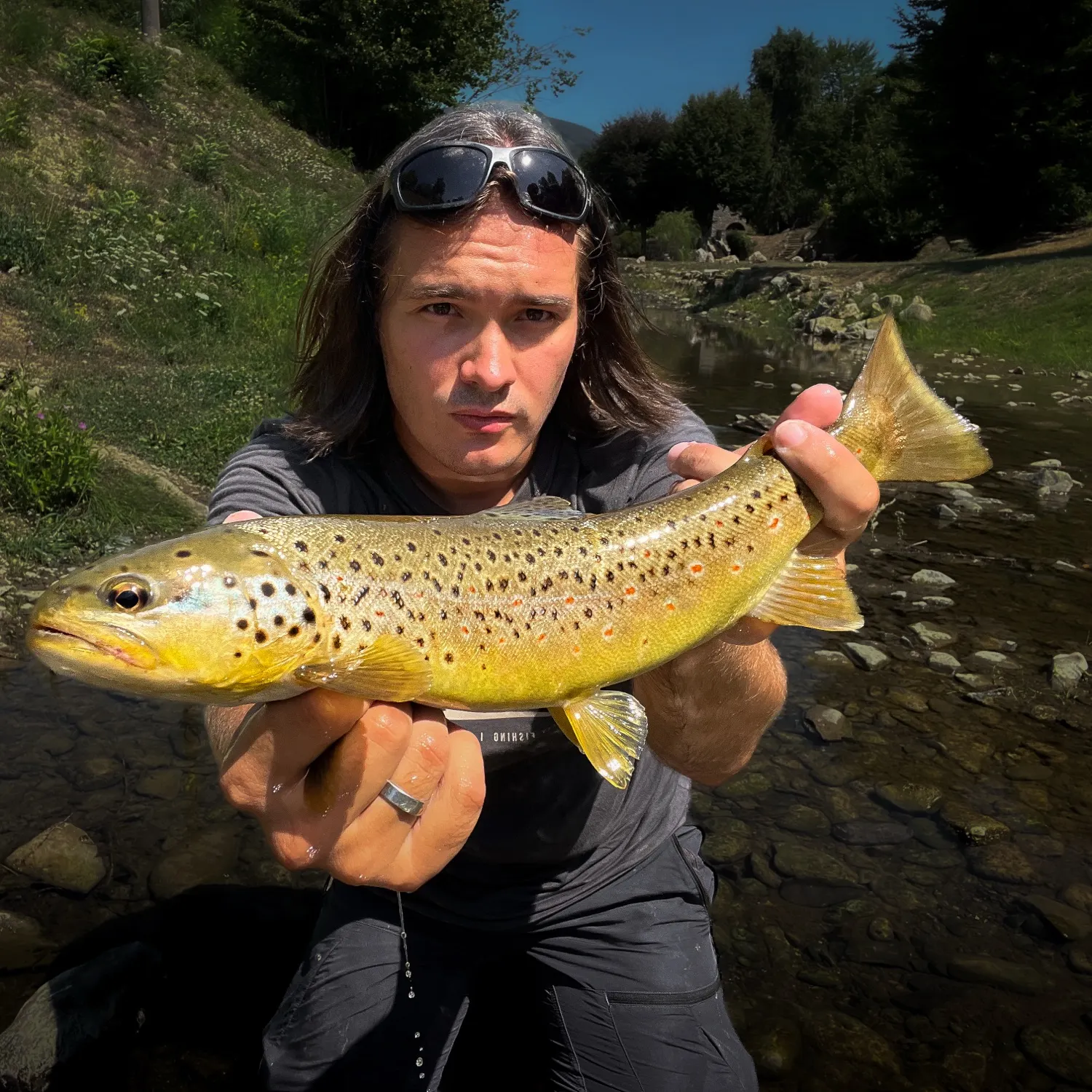Brown trout caught on Fishbrain
