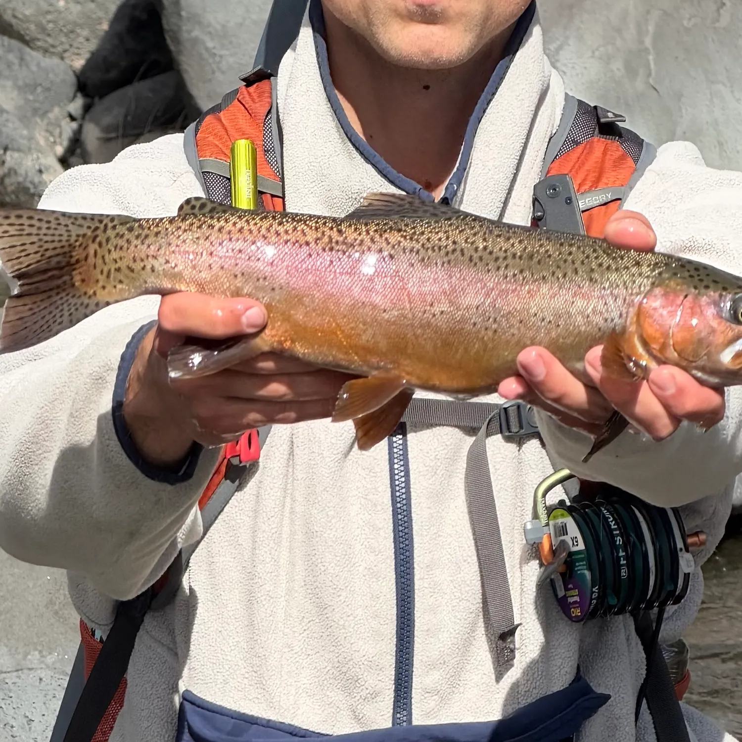 Cutbow caught on Fishbrain