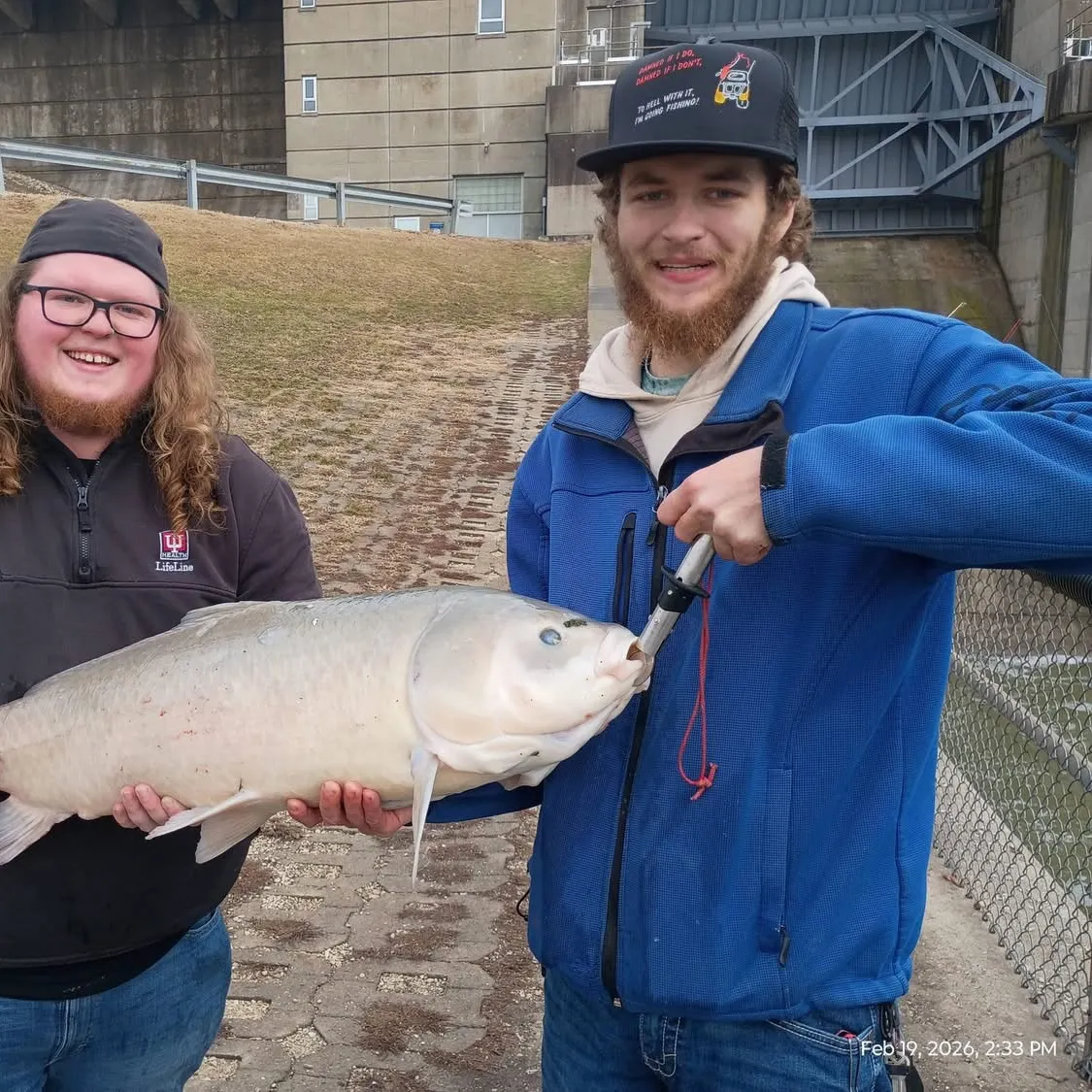 The most recent Bigmouth buffalo catches on Fishbrain