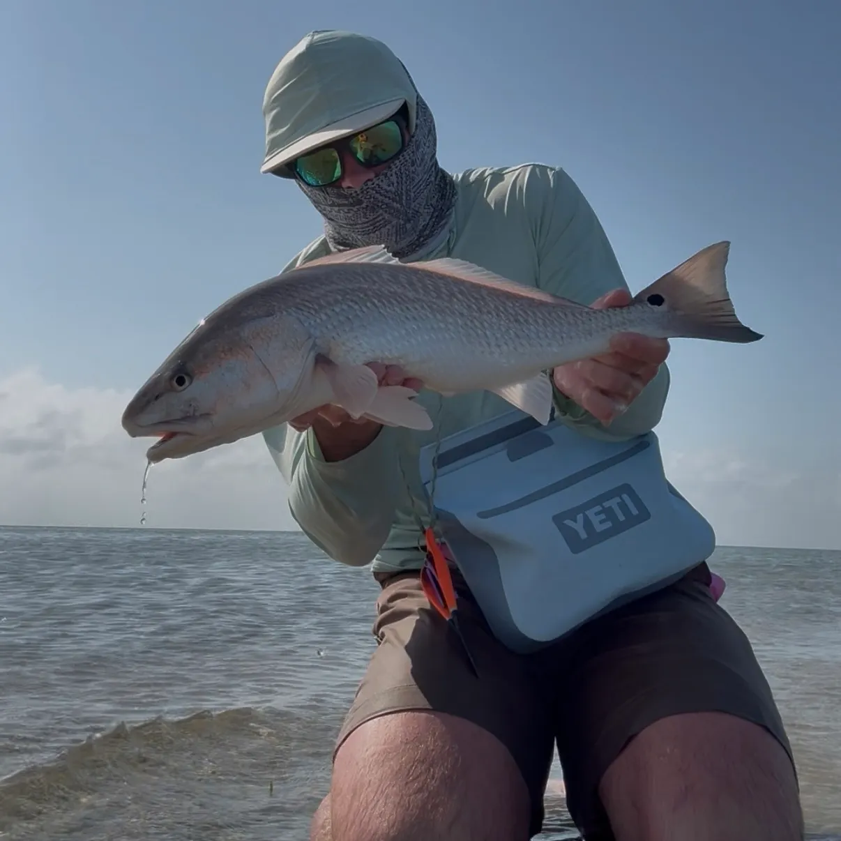The most recent Red drum catches on Fishbrain