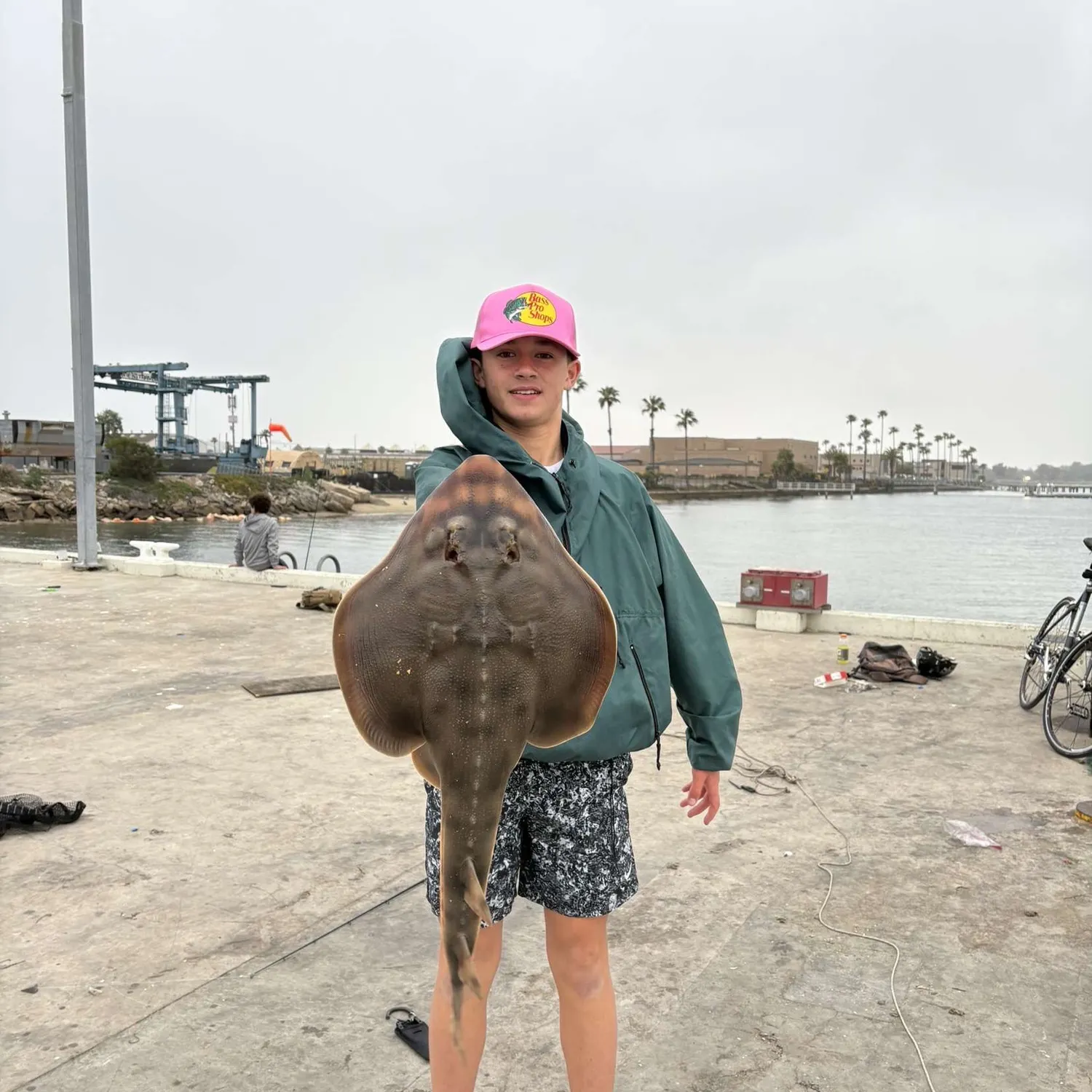 most liked catch image