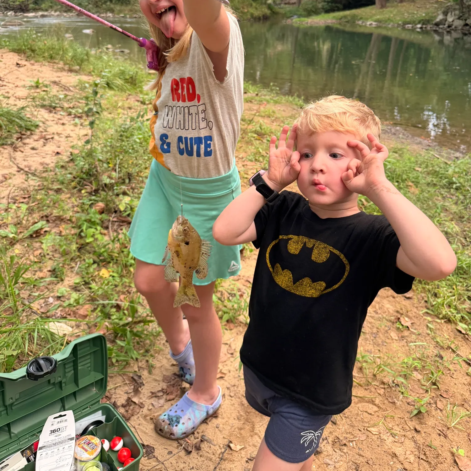 Bluegill caught on Fishbrain