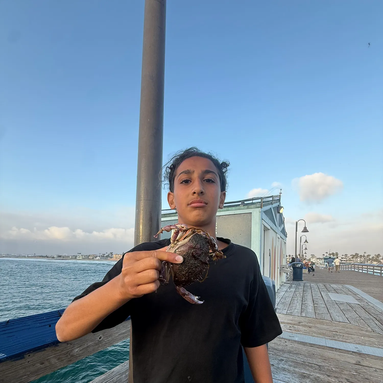 The most recent Atlantic rock crab catches on Fishbrain