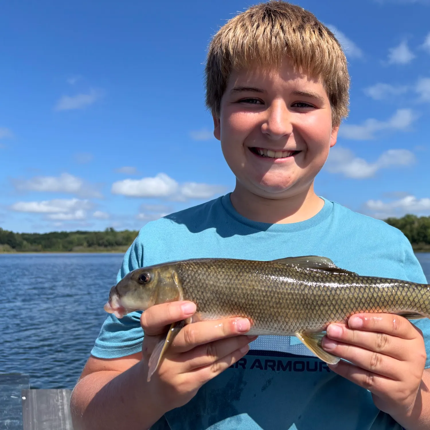 White sucker caught on Fishbrain