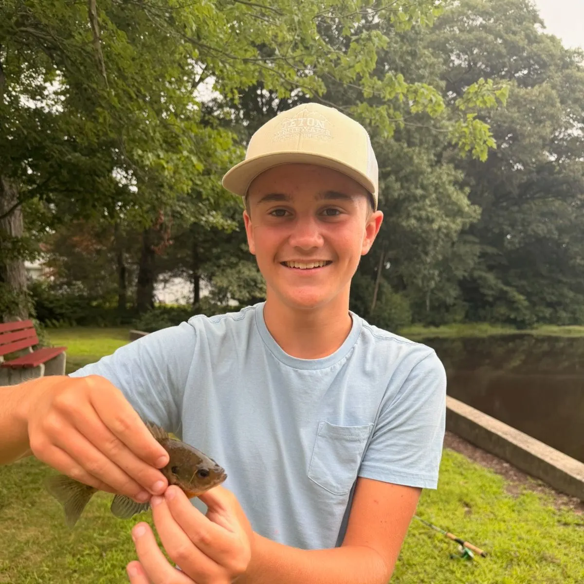 Bluegill caught on Fishbrain