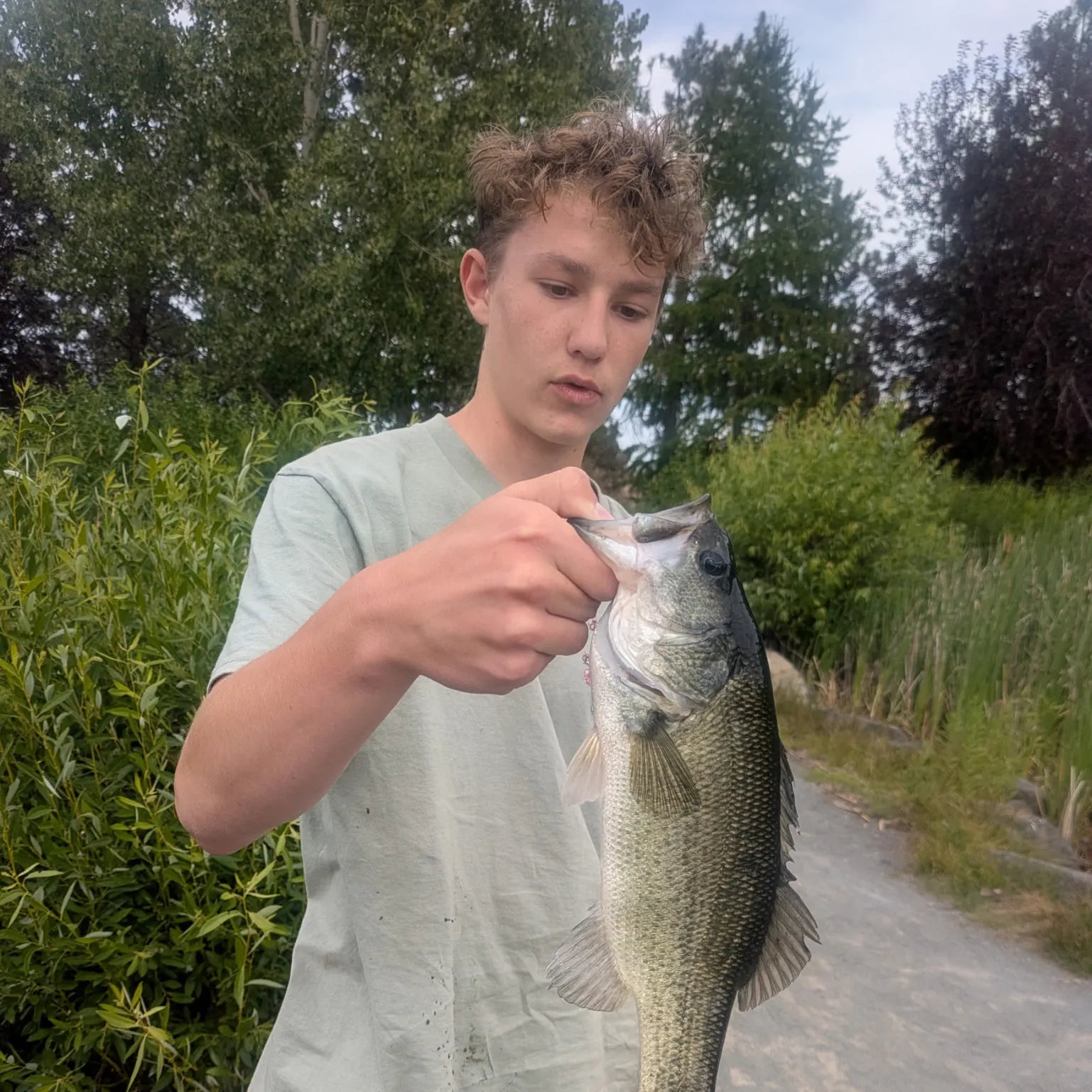 catch