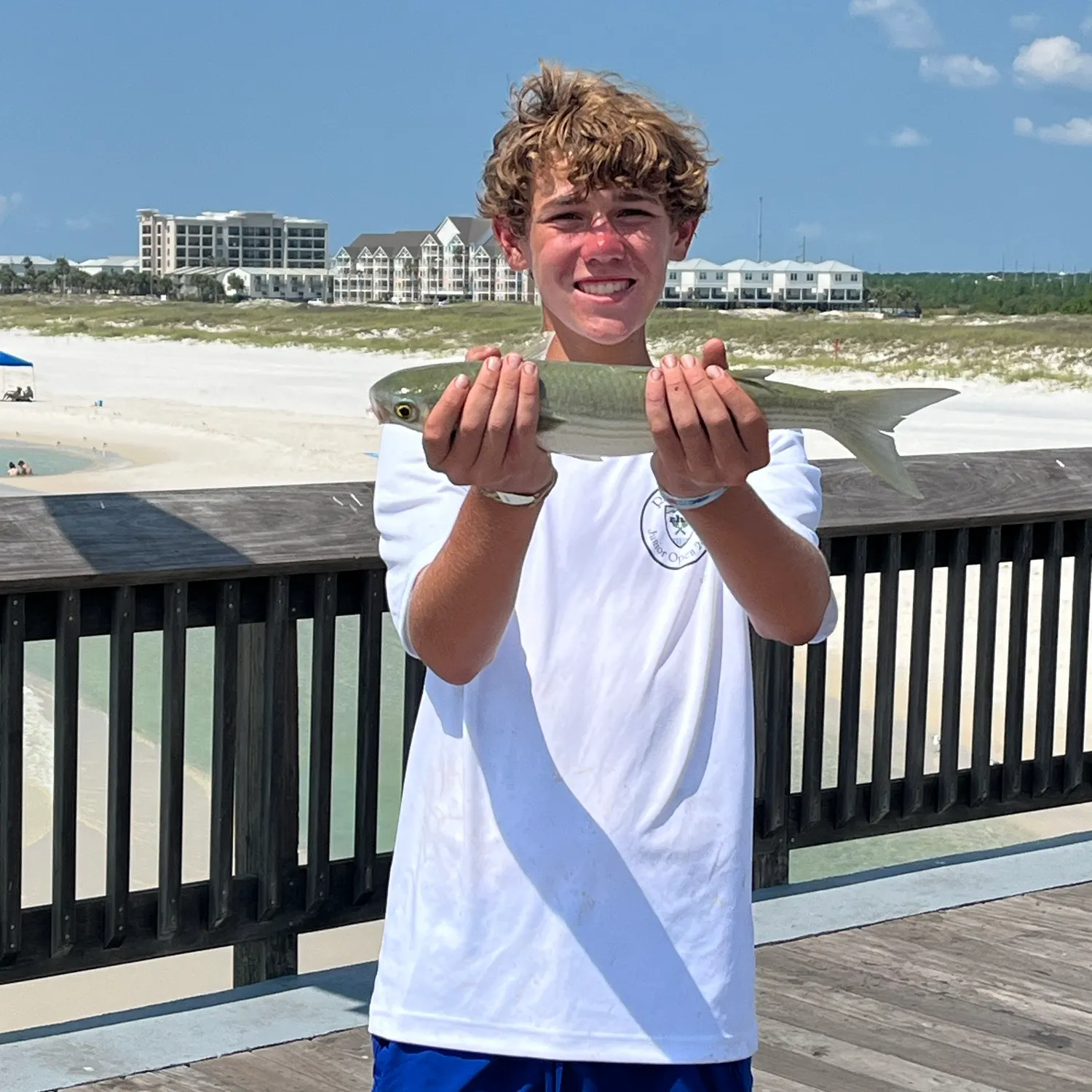 Striped mullet caught on Fishbrain