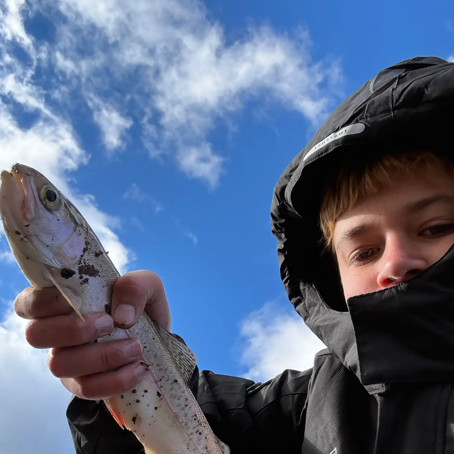 Rainbow trout caught on Fishbrain
