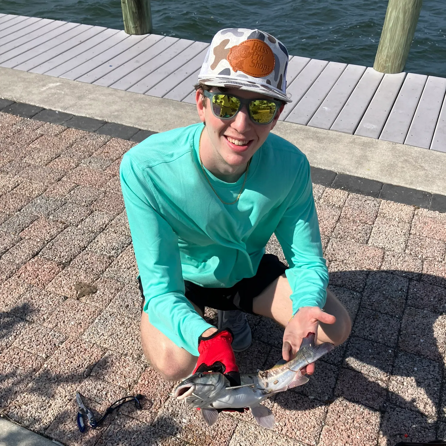 The most recent Hardhead sea catfish catches on Fishbrain